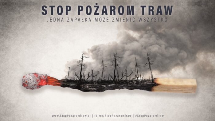 Ilustracja jest plakatem. Widnieje na nim napis "stop pożarom traw" oraz wizerunek spalonej zapałki, na której stoją kikuty spalonych drzew, a nad nimi unosi się chmura dymu.