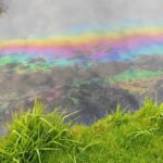 Toń zbiornika wodnego, po krótym płynie substancja ropopochodna, dająca tęczowy kolor. Poniżej trawa w parku.