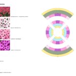 Schemat nasadzenia kwiatów.