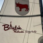 Jezioro i żaglówka z logotypami miasta i hufca na żaglu.