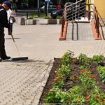 Mężczyzna zamiatający ziemię i piasek wokół rabaty przed urzędem miasta.