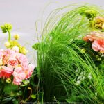 Kolorowe kwiaty miejskich nasadzeń.