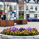 Kolorowe kwiaty miejskich nasadzeń. W tle ratusz i zabudowa miejska.