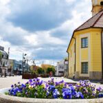 Kolorowe kwiaty miejskich nasadzeń. W tle ratusz i zabudowa miejska.