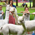 Festyn plenerowy w parku i bawiące się dzieci.