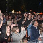 Koncert zespołu Big Cyc na scenie plenerowej.