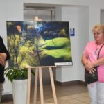 Wernisaż wystawy fotografii w bibliotece.