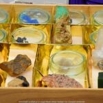 Wystawcy, młodzież i goście podczas prezentacji w liceum.