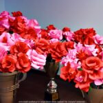 Czerwone róże z papieru.