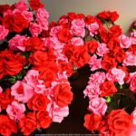 Czerwone róże z papieru.