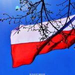 Uroczystości trzeciomajowe.